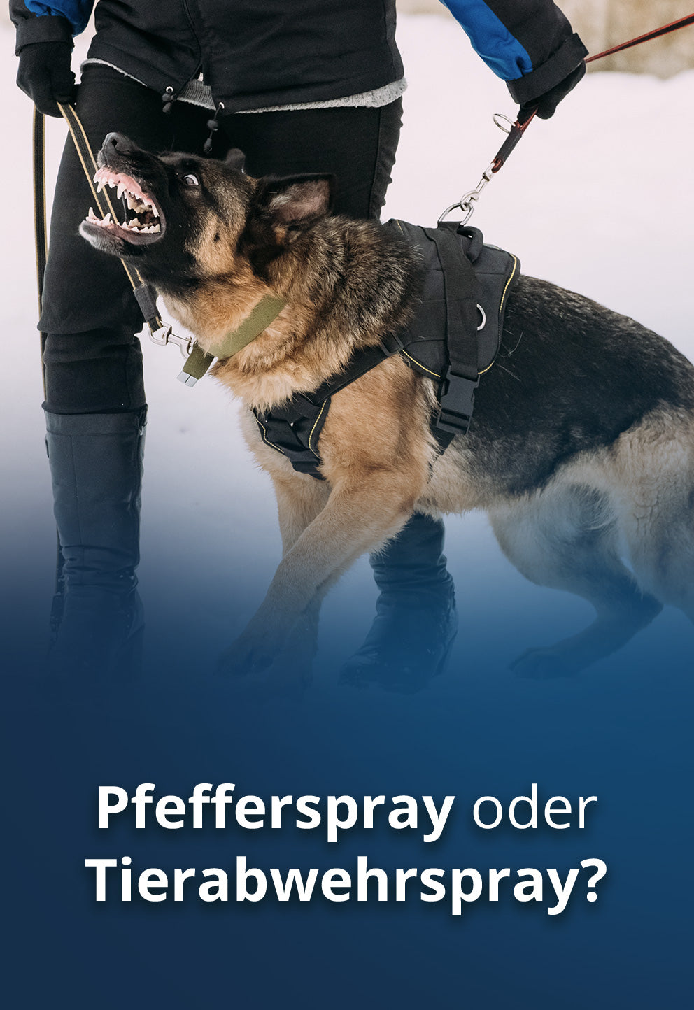 Pfefferspray oder Tierabwehrspray - was ist der Unterschied?